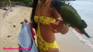 Мужик познакомился на пляже с худенькой азиаткой и дал ей пососать большой член